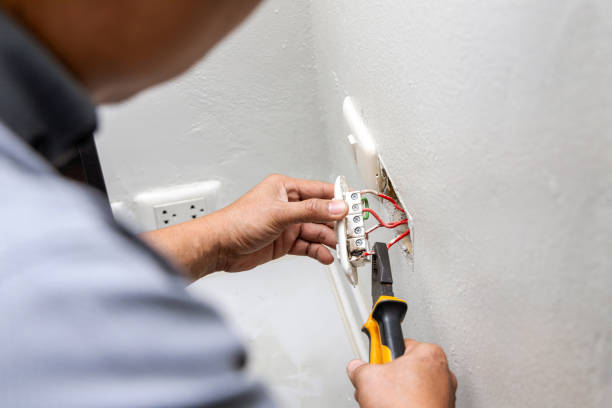 Best Ceiling Fan Installation Electrician  in Marshall, MN